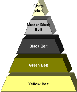 Six Sigma Certification - Get It From The Horses Mouth!