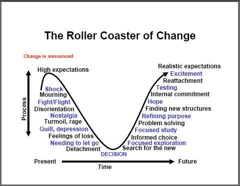 transformational leadership,leadership characteristics, mentor,change management,change managers,change management training