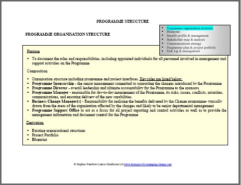 organisation structure, programme,change management,change managers,change management training