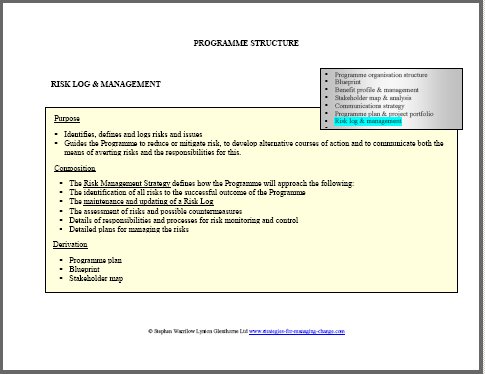 risk management, strategies for managing change, programme, change management,change managers,change management training